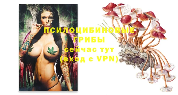 кокс Абинск
