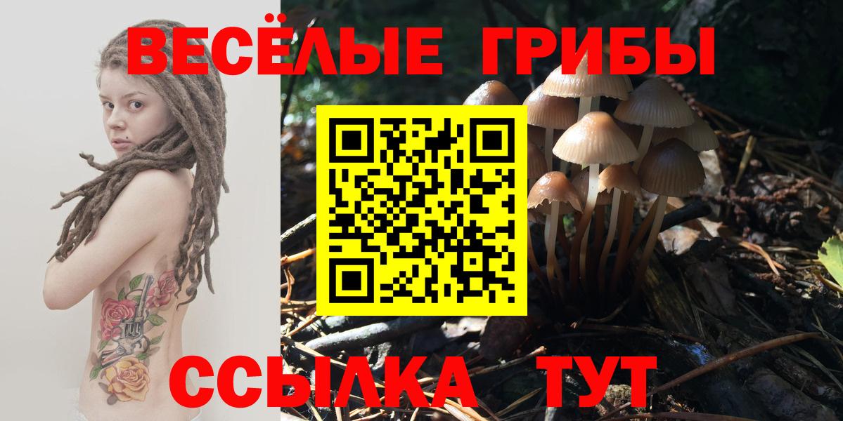 Псилоцибиновые грибы Psilocybe  Вход с VPN  Топки 