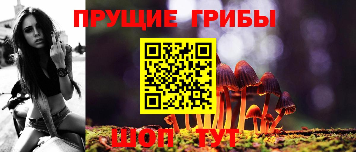Галлюциногенные грибы GOLDEN TEACHER Топки